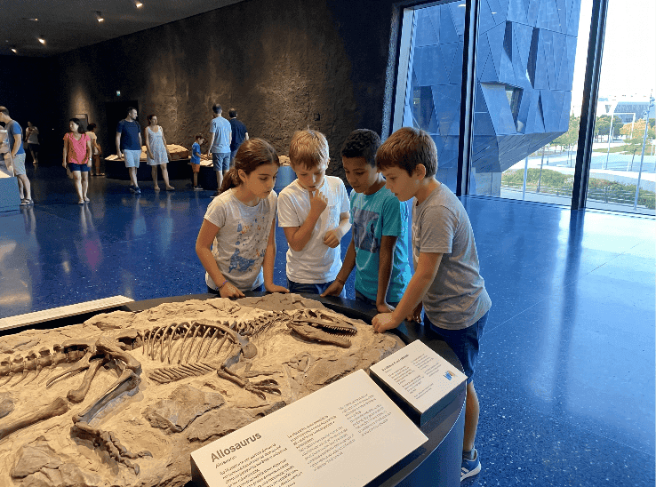 Museu Blau natural history museum