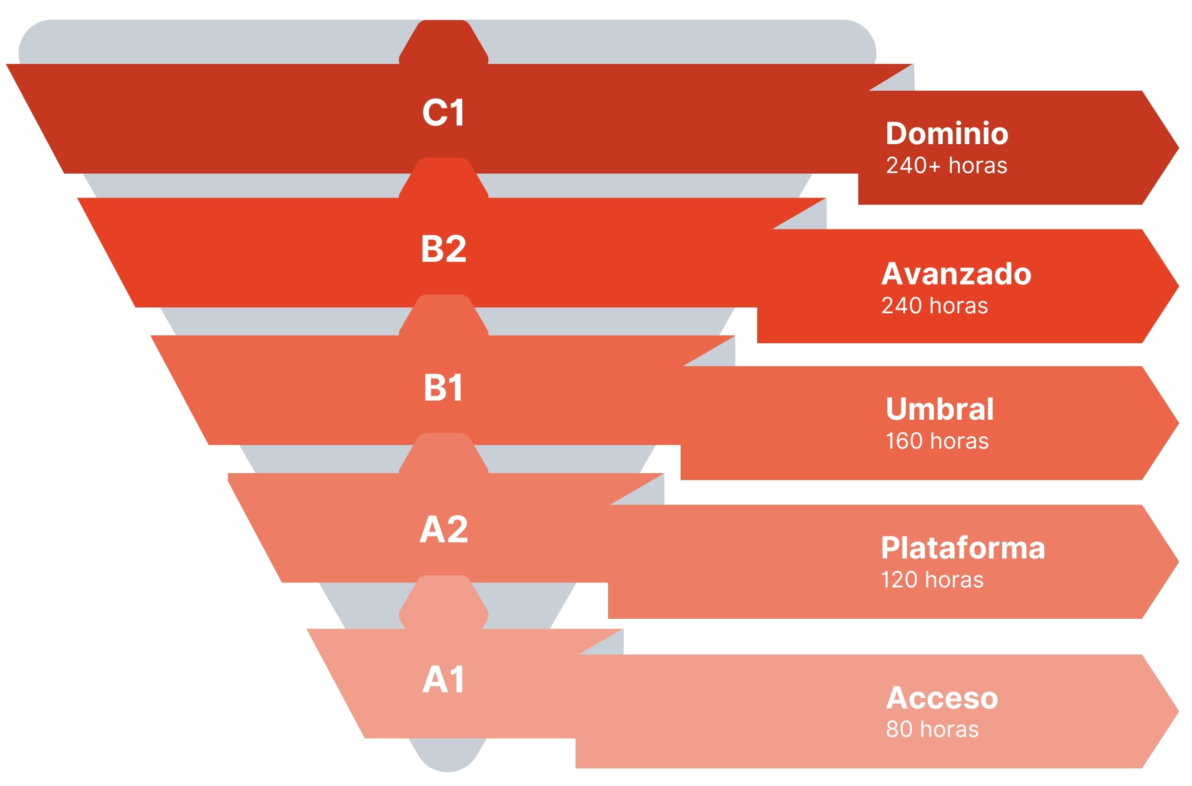 Course levels graphic