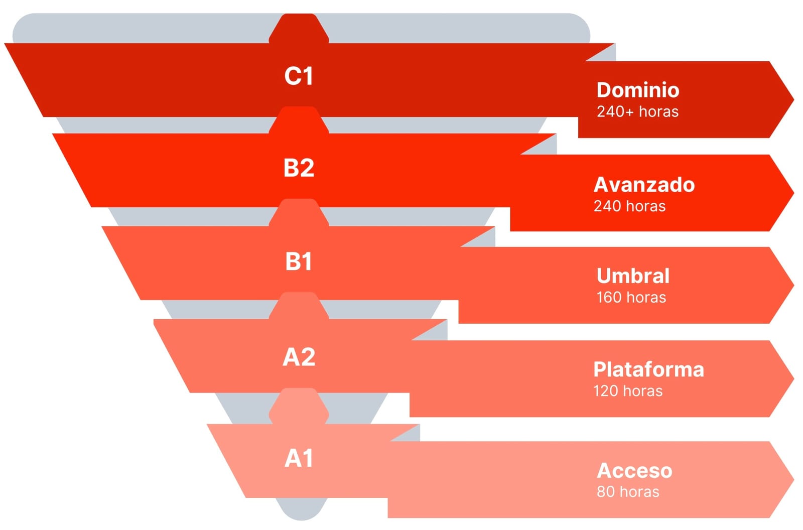 Course levels graphic